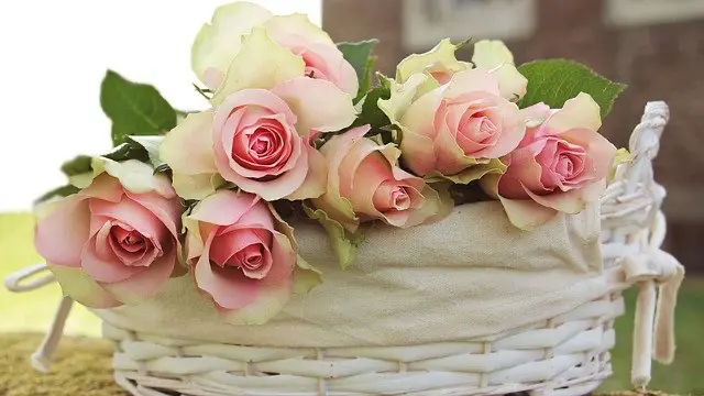 Roses and a white basket